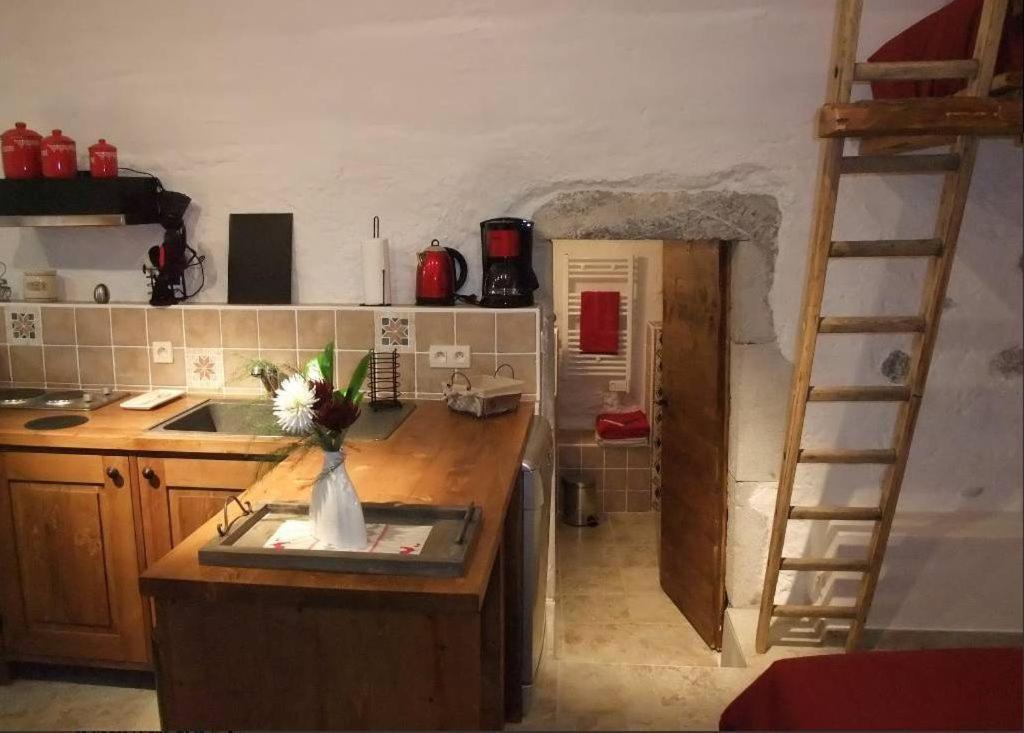 Le Domaine Du Grand Cellier Gites Appartement En Savoie Tournon-sur-Rhône Exteriér fotografie